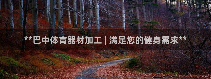 极悦平台平台注册方法与步骤视频：**巴中体育器材加工