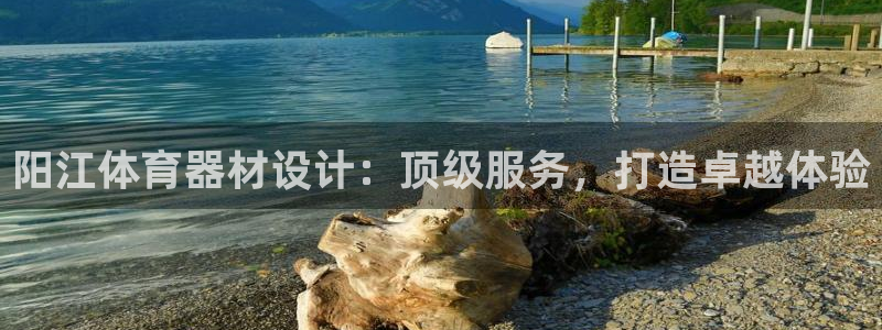 极悦官网首页登录入口：阳江体育器材设计：顶级服务，打