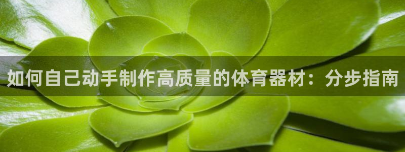 极悦平台的注册流程及注意事项是什么：如何自己动手制作