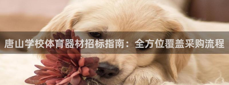 极悦平台官方网址：唐山学校体育器材招标指南：全方位覆