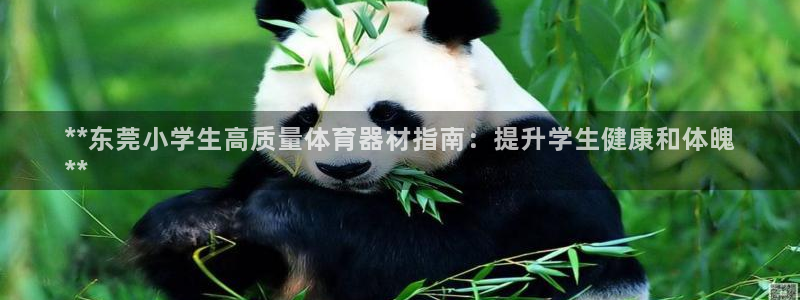极悦平台注册用户名生成器：**东莞小学生高质量体育器