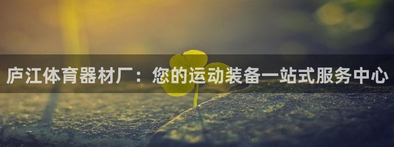 极悦平台登录方式：庐江体育器材厂：您的运动装备一站式