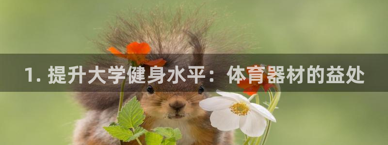 极悦平台官网登录不了：1. 提升大学健身水平：体育器