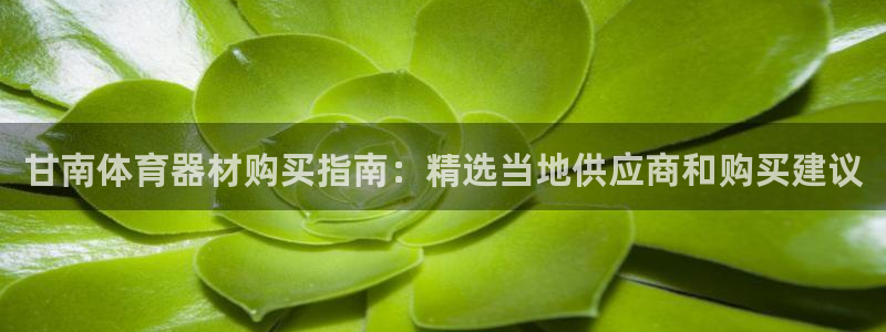 极悦平台与网易合作详情：甘南体育器材购买指南：精选当