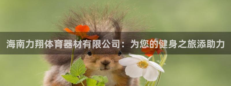 极悦娱乐官方网站首页：海南力翔体育器材有限公司：为您