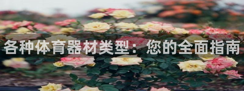 极悦平台登录不进去怎么回事儿：各种体育器材类型：您的