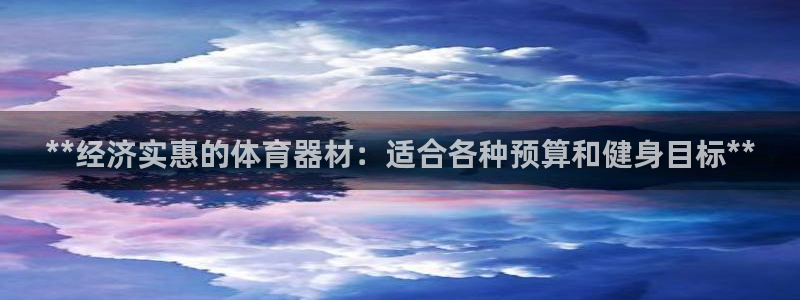 极悦平台是什么公司：**经济实惠的体育器材：适合各种