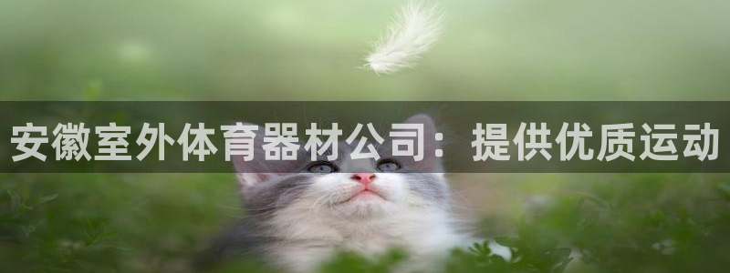 极悦是什么牌子空调：安徽室外体育器材公司：提供优质运