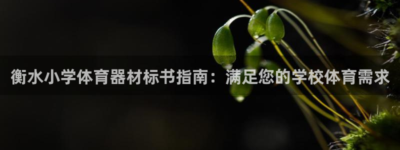 极悦平台注册流程图片：衡水小学体育器材标书指南：满足