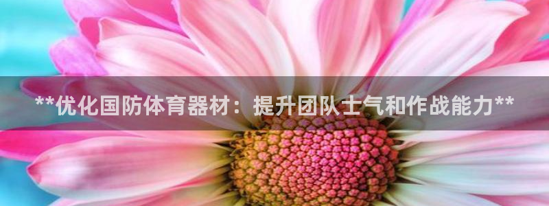 极悦注册：**优化国防体育器材：提升团队士气和作战能