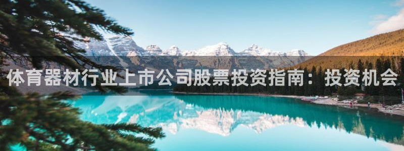 极悦平台官方网站入口网址：体育器材行业上市公司股票投