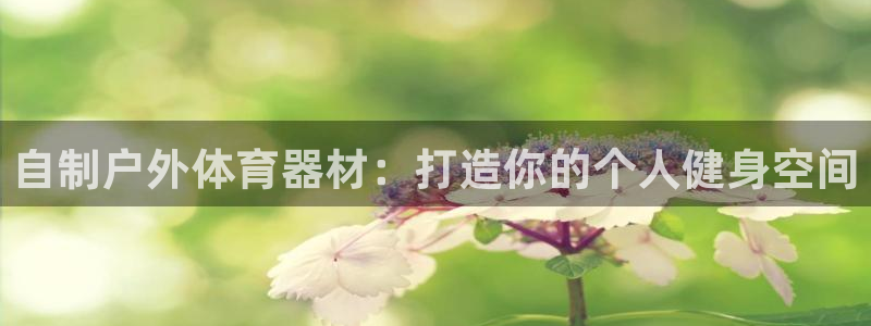 极悦官网首页登录入口网址：自制户外体育器材：打造你的
