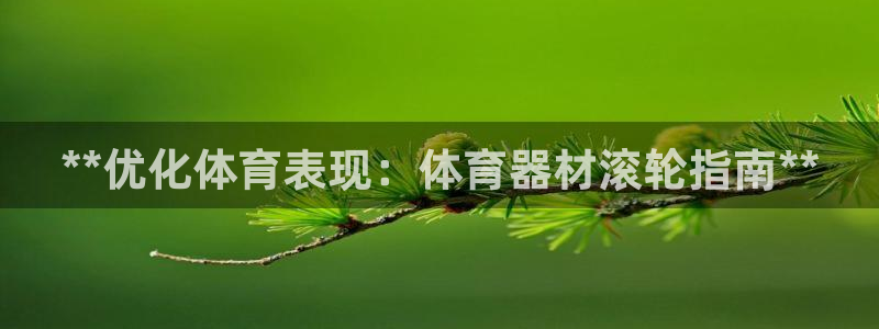 极悦平台是正规平台吗安全吗：**优化体育表现：体育器