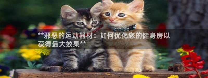 极悦娱乐代理：**邪恶的运动器材：如何优化您的健身房