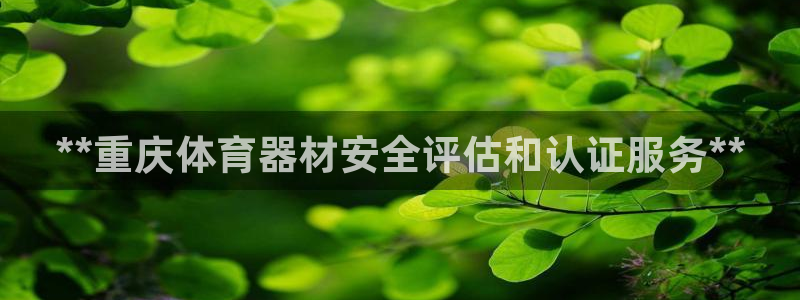极悦平台注册资金多少亿：**重庆体育器材安全评估和认