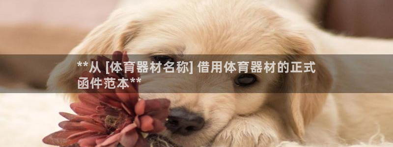极悦娱乐游戏中心：**从 [体育器材名称] 借用体育
