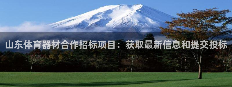 极悦娱乐现在叫什么：山东体育器材合作招标项目：获取最