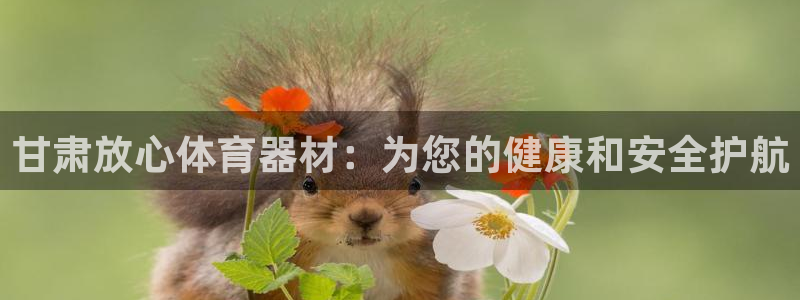 极悦平台注册用户名格式错误：甘肃放心体育器材：为您的