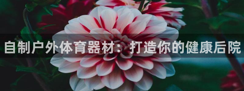 极悦平台是什么公司：自制户外体育器材：打造你的健康后