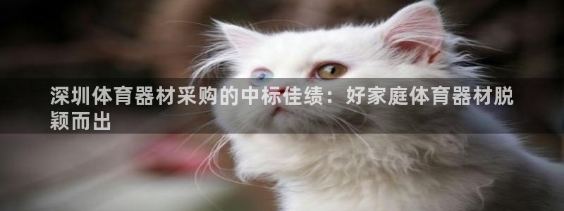 极悦平台官方网址是多少：深圳体育器材采购的中标佳绩：