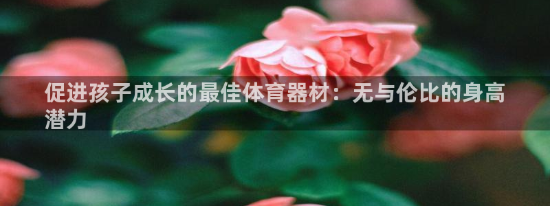 极悦娱乐代理多少钱一年：促进孩子成长的最佳体育器材：