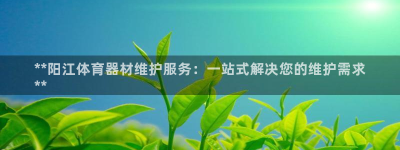 极悦娱乐官网入口：**阳江体育器材维护服务：一站式解
