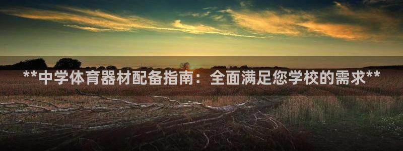 极悦平台安全吗：**中学体育器材配备指南：全面满足您