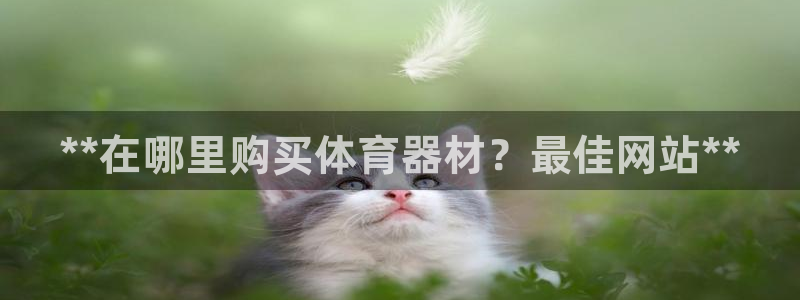 极悦官网的登录方法有哪些：**在哪里购买体育器材？最