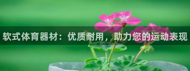 极悦平台登录方式：软式体育器材：优质耐用，助力您的运