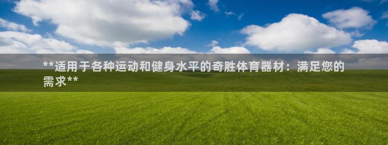 极悦娱乐：**适用于各种运动和健身水平的奇胜体育器材
