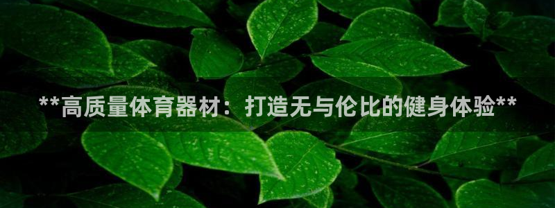 极悦平台是正规平台吗安全吗：**高质量体育器材：打造