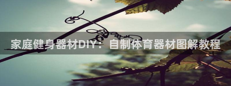 极悦平台注册用户名格式不正确：家庭健身器材DIY：自