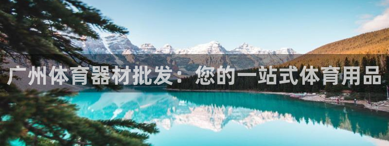 极悦益生菌猫粮怎么样：广州体育器材批发：您的一站式体