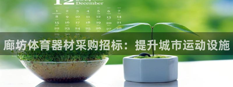 极悦官网首页登录入口网站：廊坊体育器材采购招标：提升