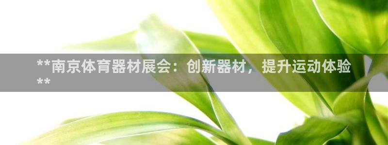 极悦平台使用教程视频：**南京体育器材展会：创新器材