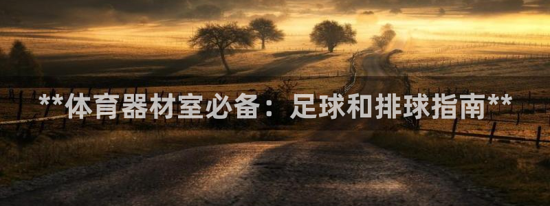 极悦官网的登录方法：**体育器材室必备：足球和排球指