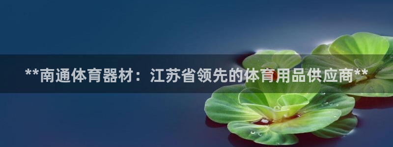 极悦平台官网登录不了怎么回事：**南通体育器材：江苏