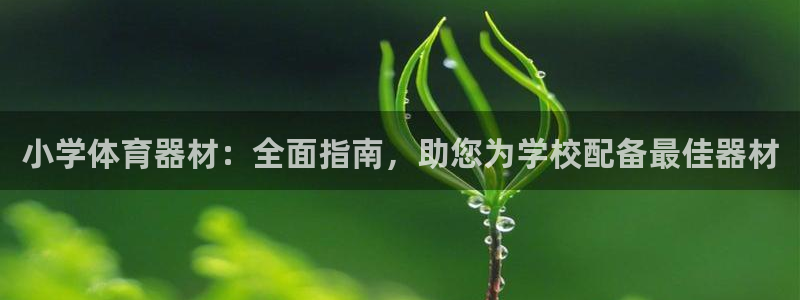 极悦娱乐游戏中心：小学体育器材：全面指南，助您为学校