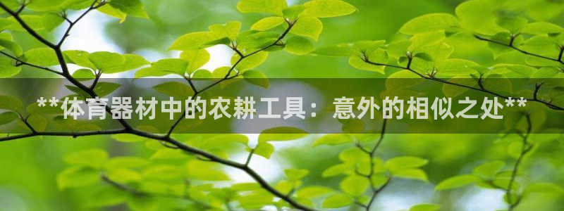 极悦平台的注册流程及注意事项有哪些：**体育器材中的