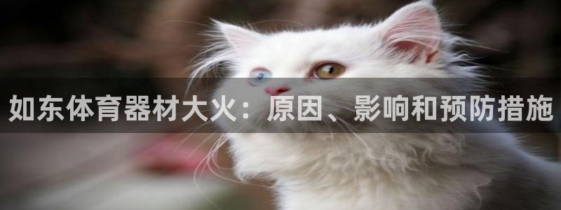 极悦娱乐负责人：如东体育器材大火：原因、影响和预防措