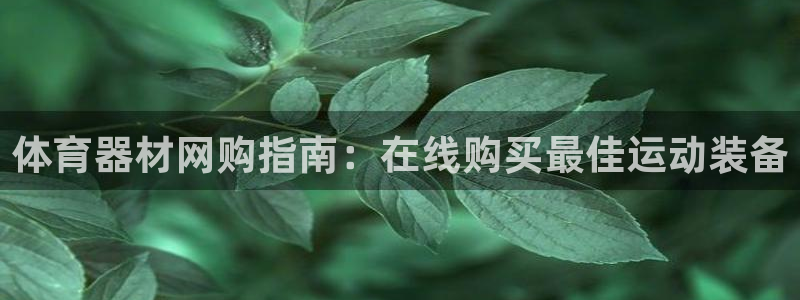 极悦平台注册失败如何解决问题：体育器材网购指南：在线