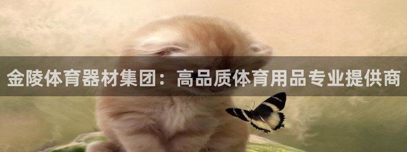 极悦平台使用教程视频：金陵体育器材集团：高品质体育用