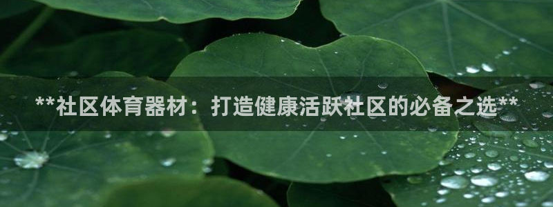 加盟极悦教育多少钱：**社区体育器材：打造健康活跃社