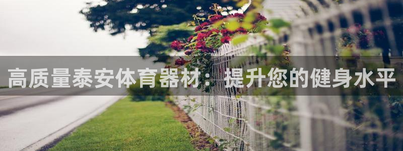 极悦官网的登录方法是什么：高质量泰安体育器材：提升您