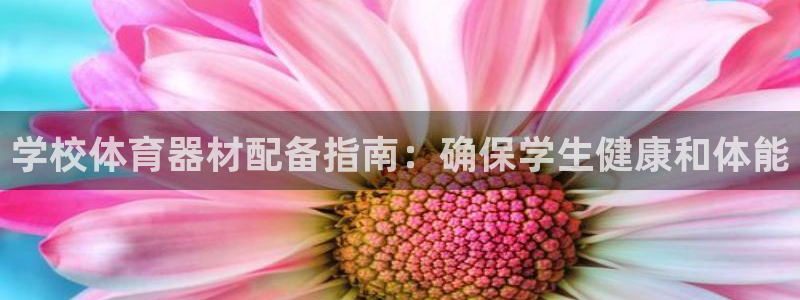 极悦平台注册流程详解视频：学校体育器材配备指南：确保