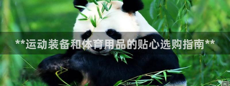 极悦平台官方网址是什么：**运动装备和体育用品的贴心
