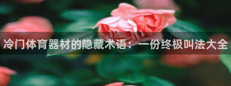 极悦官网旗舰店：冷门体育器材的隐藏术语：一份终极叫法