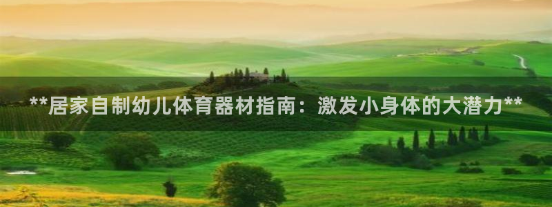 极悦平台注册用户名格式是什么：**居家自制幼儿体育器