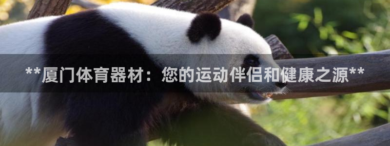 极悦娱乐贴吧最新消息：**厦门体育器材：您的运动伴侣和健康之