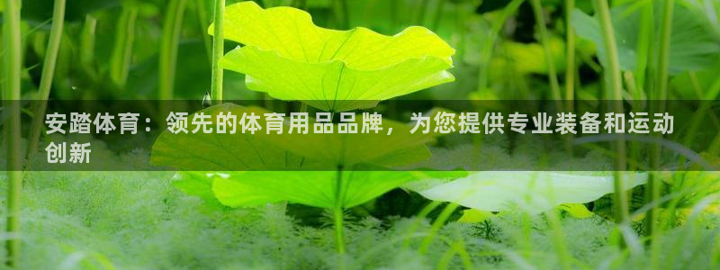 极悦平台注册用户名格式：安踏体育：领先的体育用品品牌